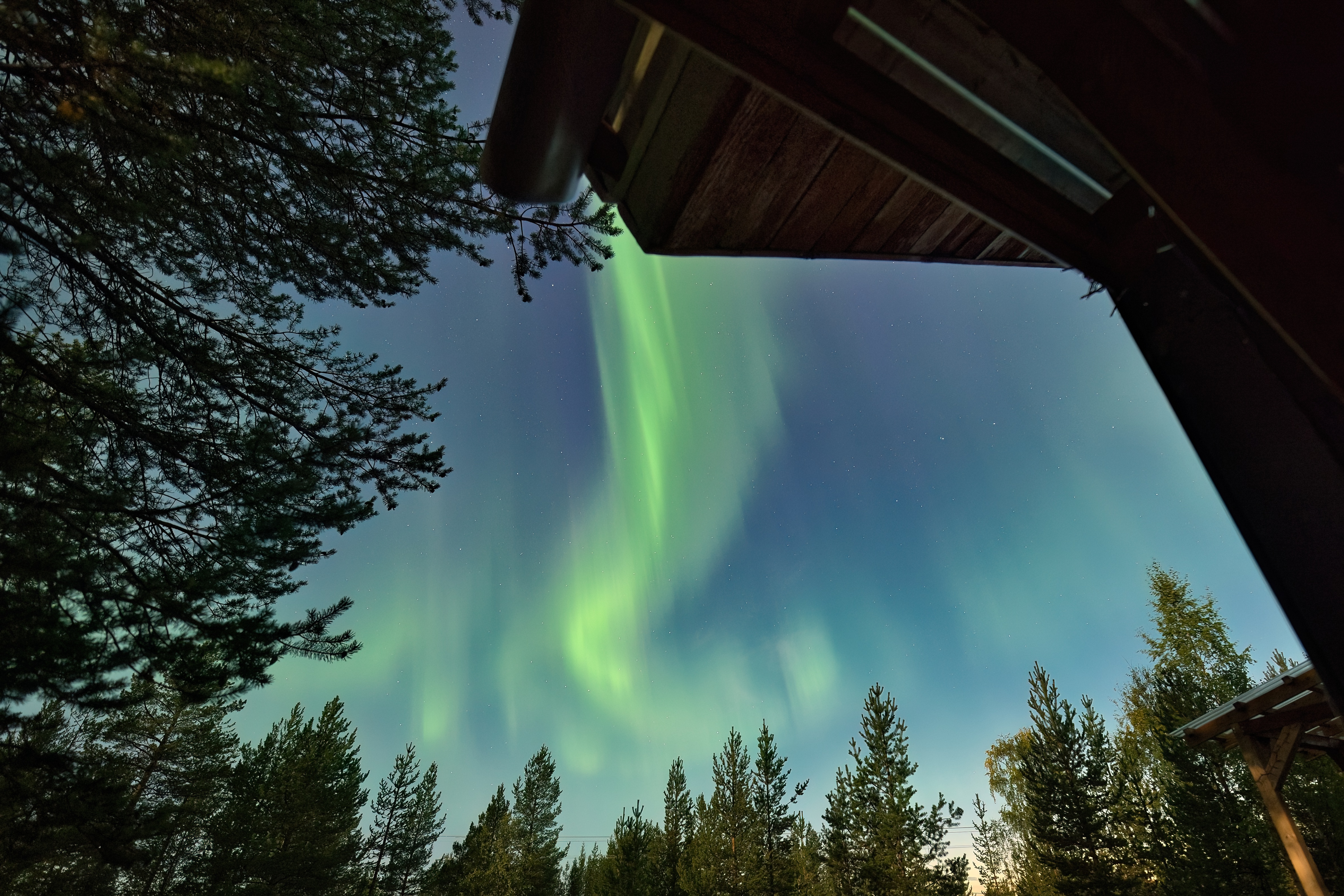 Green and slightly violett auroras are dancing above Orava's Nest.